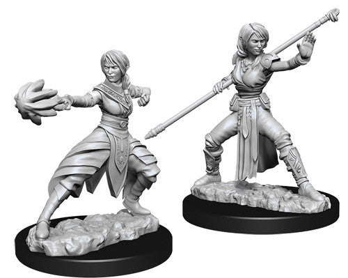 Mini Dungeons & Dragons - Nolzurs Marvelous: Half-Elf Monk Female