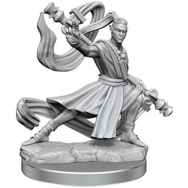 Mini Dungeons & Dragons Frameworks: Elf Monk Male 
