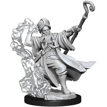 Mini Dungeons & Dragons Frameworks: Human Wizard Male 