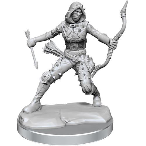 Mini Dungeons & Dragons Frameworks: Human Rogue Female 