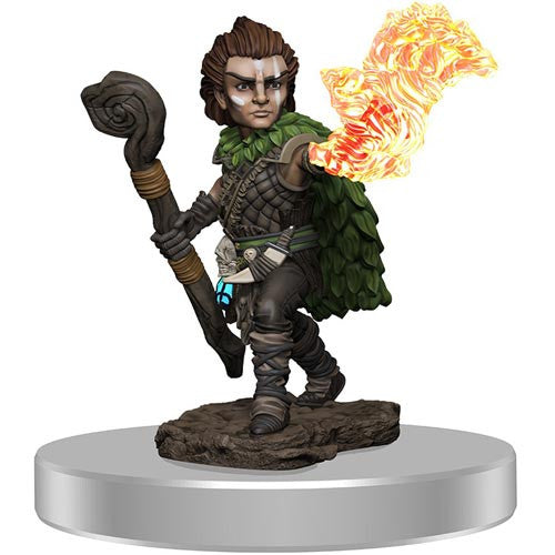 Mini Pathfinder Premium: Gnome Druid Male
