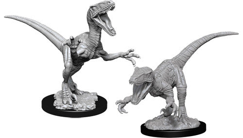 Mini Wizkids: Raptors