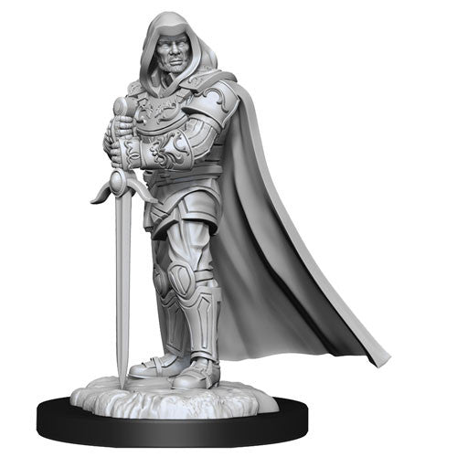 Mini Dungeons & Dragons - Nolzurs Marvelous: Human Paladin Male 3