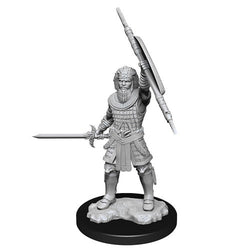 Mini Dungeons & Dragons - Nolzurs Marvelous: Human Fighter Male 2