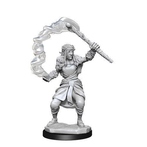 Mini Dungeons & Dragons - Nolzurs Marvelous: Firbolg Druid Female