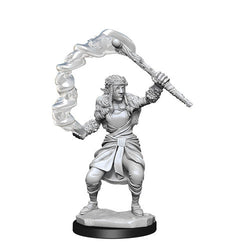 Mini Dungeons & Dragons - Nolzurs Marvelous: Firbolg Druid Female