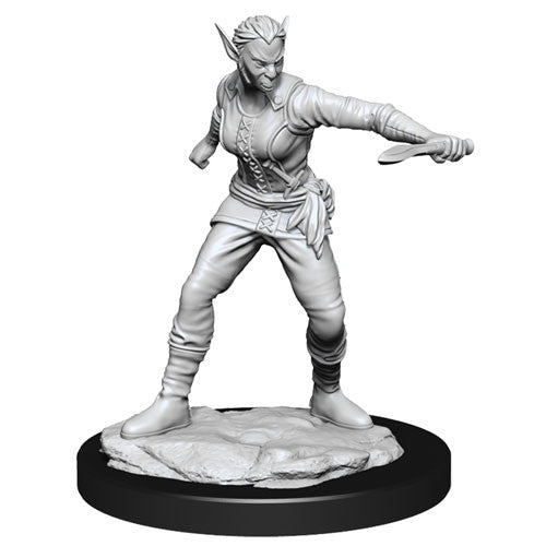 Mini Dungeons & Dragons - Nolzurs Marvelous: Shifter Rogue Female
