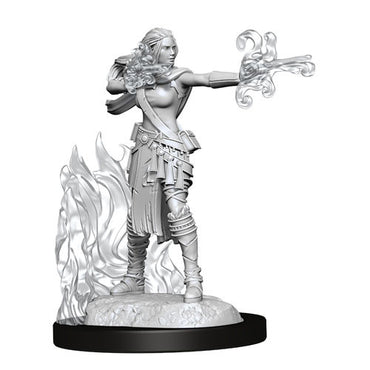 Mini Dungeons & Dragons - Nolzurs Marvelous: Multiclass Warlock Sorcerer Female