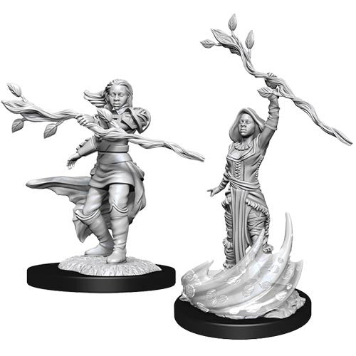Mini Dungeons & Dragons - Nolzurs Marvelous: Human Druid Female 3