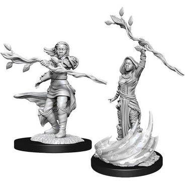 Mini Dungeons & Dragons - Nolzurs Marvelous: Human Druid Female 3