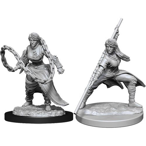 Mini Dungeons & Dragons - Nolzurs Marvelous: Human Monk Female 3