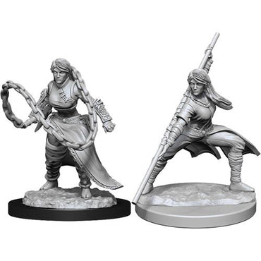 Mini Dungeons & Dragons - Nolzurs Marvelous: Human Monk Female 3
