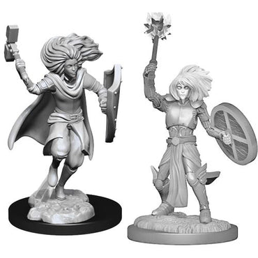 Mini Dungeons & Dragons - Nolzurs Marvelous: Changeling Cleric Male