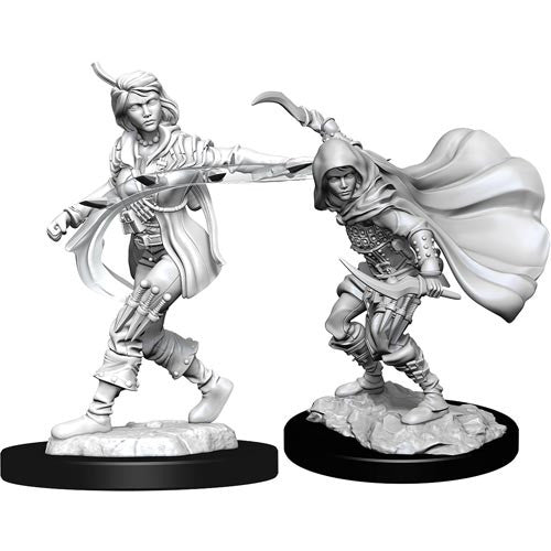Mini Pathfinder Deep Cuts: Human Rogue Female