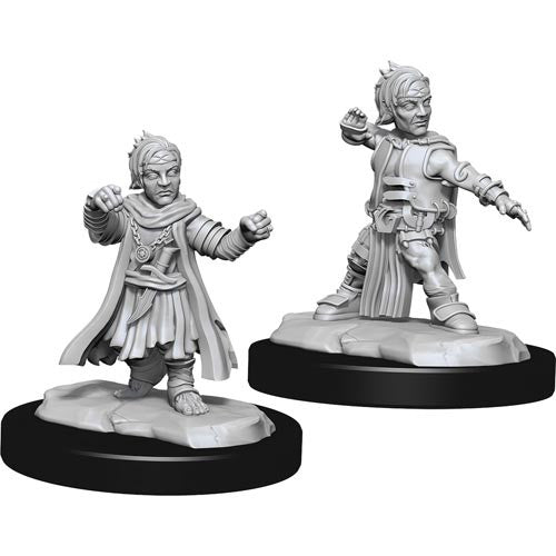 Mini Pathfinder Deep Cuts: Halfing Monk Male