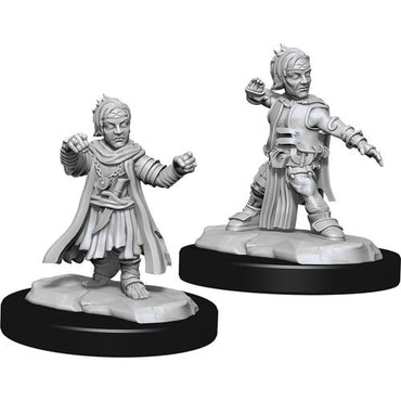 Mini Pathfinder Deep Cuts: Halfing Monk Male