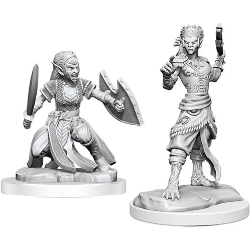 Mini Dungeons & Dragons - Nolzur's Marvelous: Shifter Fighter