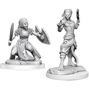 Mini Dungeons & Dragons - Nolzur's Marvelous: Shifter Fighter