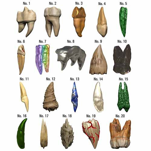 Dungeons & Dragons Bite-Sized Artifact: Teeth of Dahlver-Nar